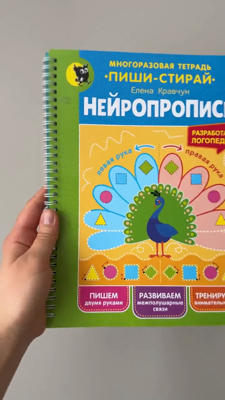 Нейропрописи пиши-стирай с маркерами в руках — реальный размер